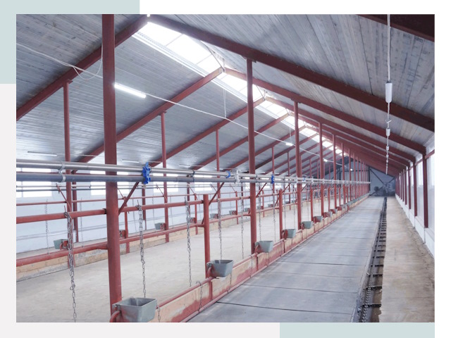 Строительство коровников в Минеральных Воде от 621 руб.