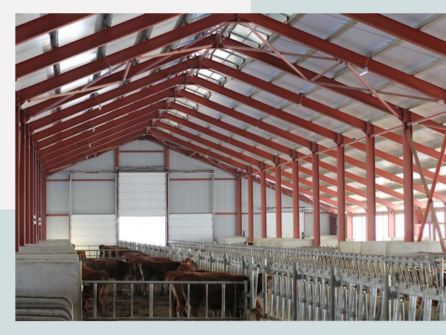 Строительство коровников в Минеральных Воде